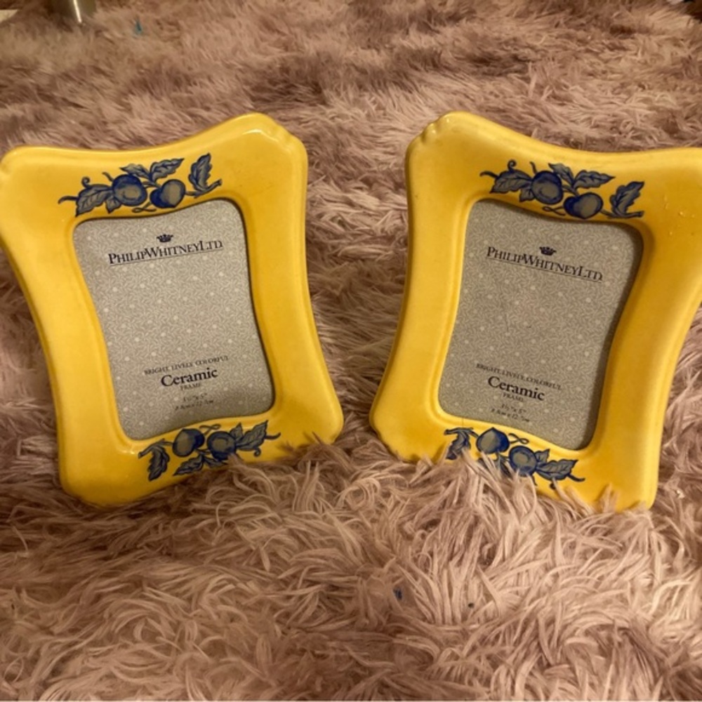 Philip Whitney Limited Set of Ceramic Picture Frames